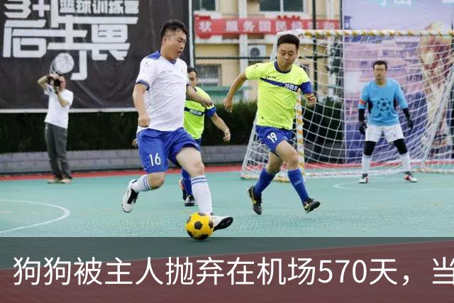 狗狗被主人抛弃在机场570天，当主人回来接它时，看哭了所有人